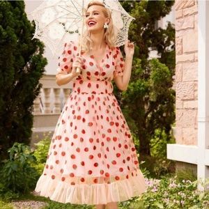 NWT Retro Stage 1950s Lace Strawberry  Swing Midi Valentines Dress Size S